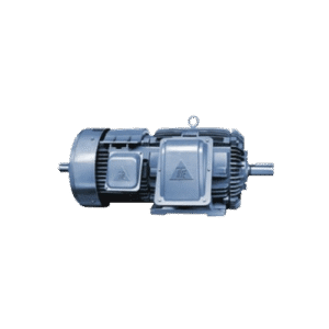 TECO Crane Motors มอเตอร์ไฟฟ้า