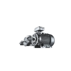 SIEMENS SIMOTICS General Purpose