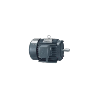 TECO Brake Motors