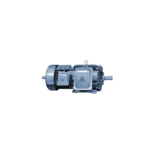 TECO Crane Motors มอเตอร์ไฟฟ้า