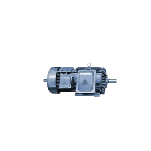 TECO Crane Motors มอเตอร์ไฟฟ้า