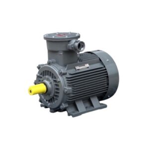 มอเตอร์กันระเบิด TECO AFBY Series